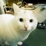 空氣質(zhì)量檢測(cè)